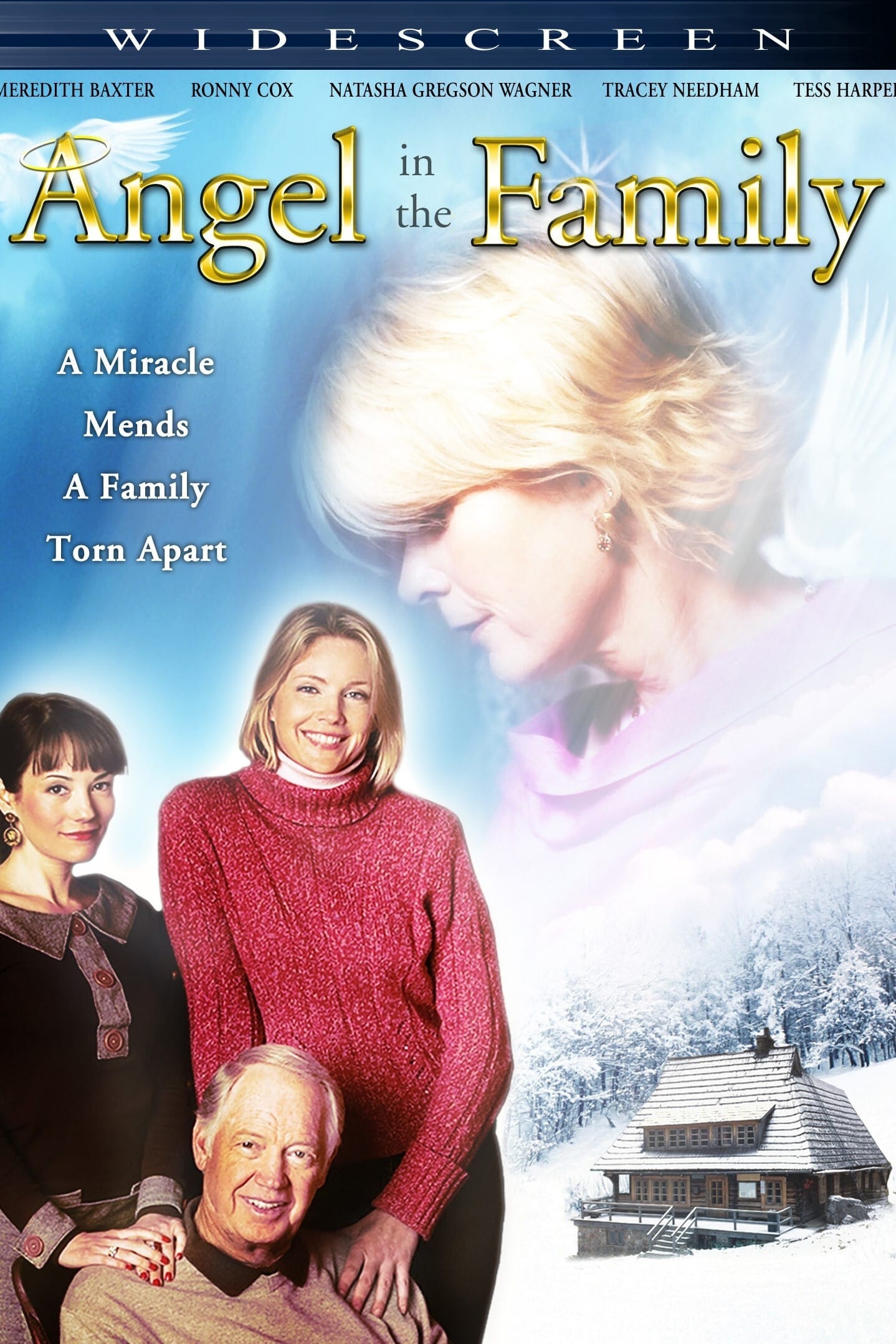 Постер Angel in the Family
